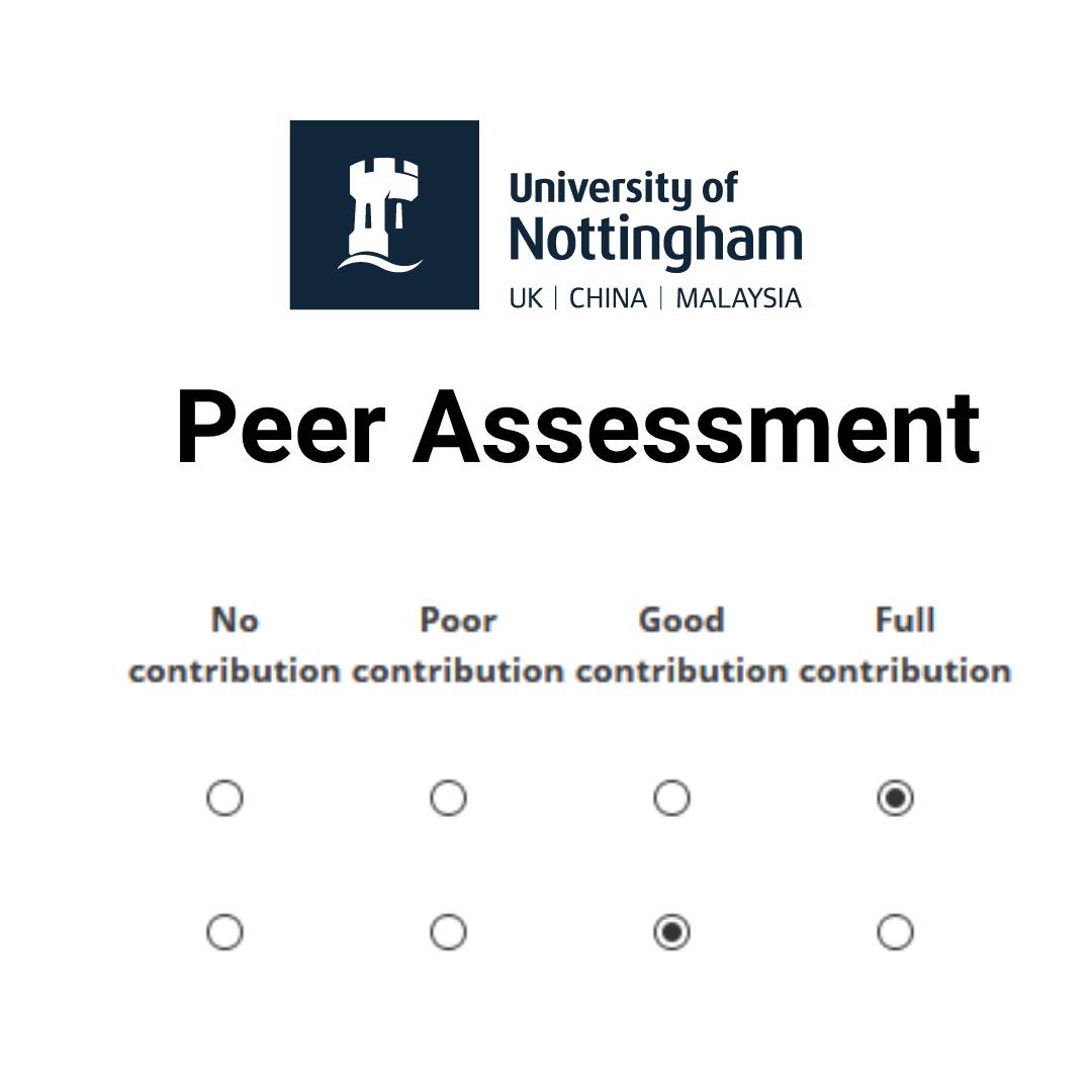 Screenshot showing the assessment critera options for students providing feedback to their peers using the Peer Assessment activity.