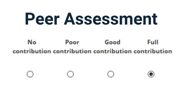 Screenshot showing the assessment critera options for students providing feedback to their peers using the Peer Assessment activity.