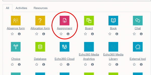 The activity list on Moodle, showing the Moodle assignment icon highlighted.