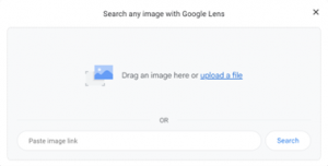 Google image search providing the option to drag and drop, upload or add the URL of an image.