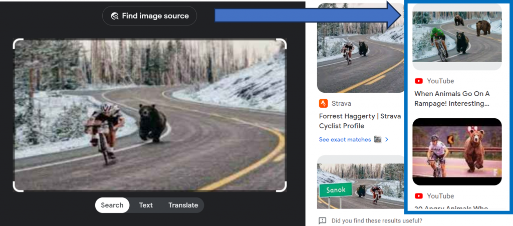 YouTube hits from reverse searching an image of a bear chasing a cyclist.