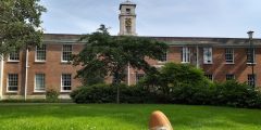 Relaxing on campus with a book!