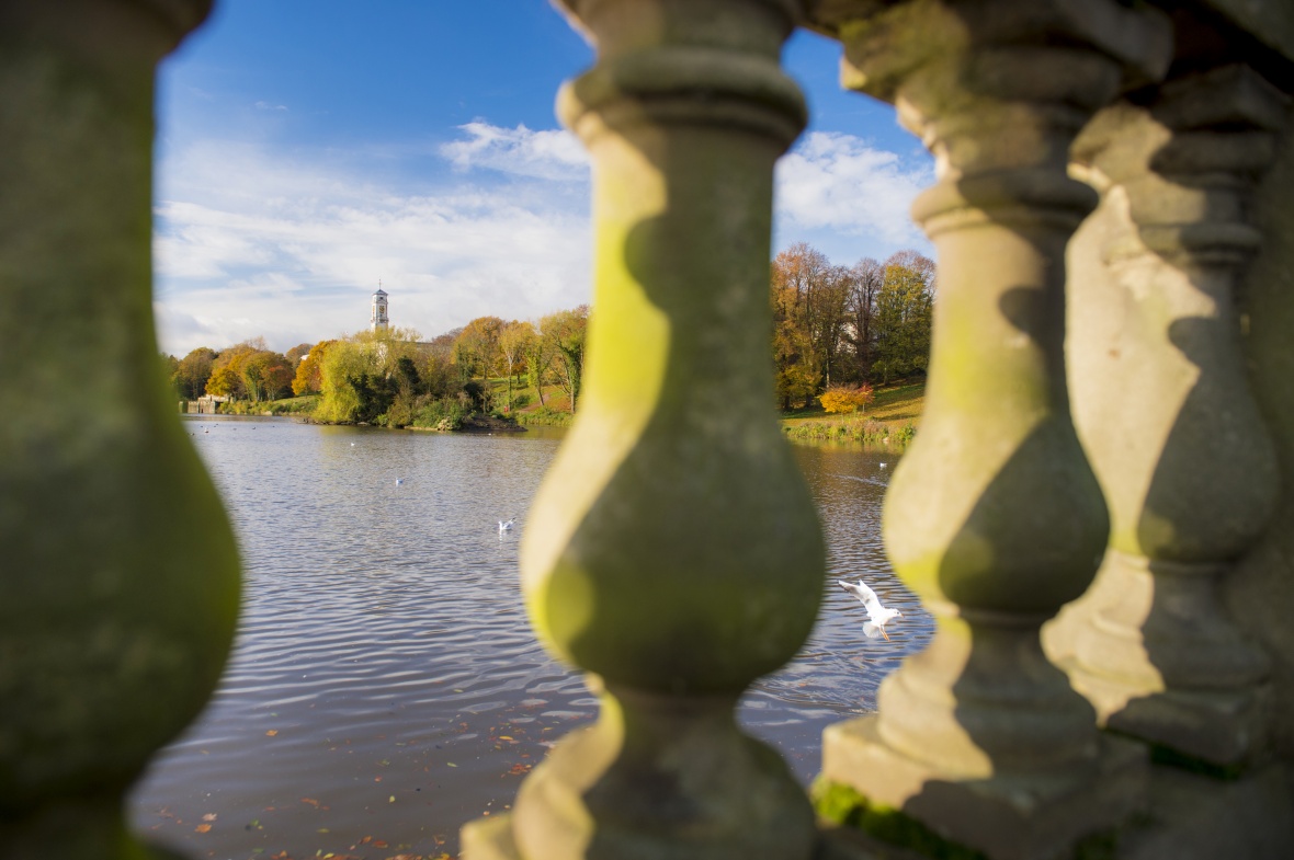 Our sense of place: Views of Trent Building over Highfields lake