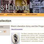 Black Liberation Army and the Program of Armed Struggle