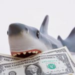 Picture of shark with money in it's jaws