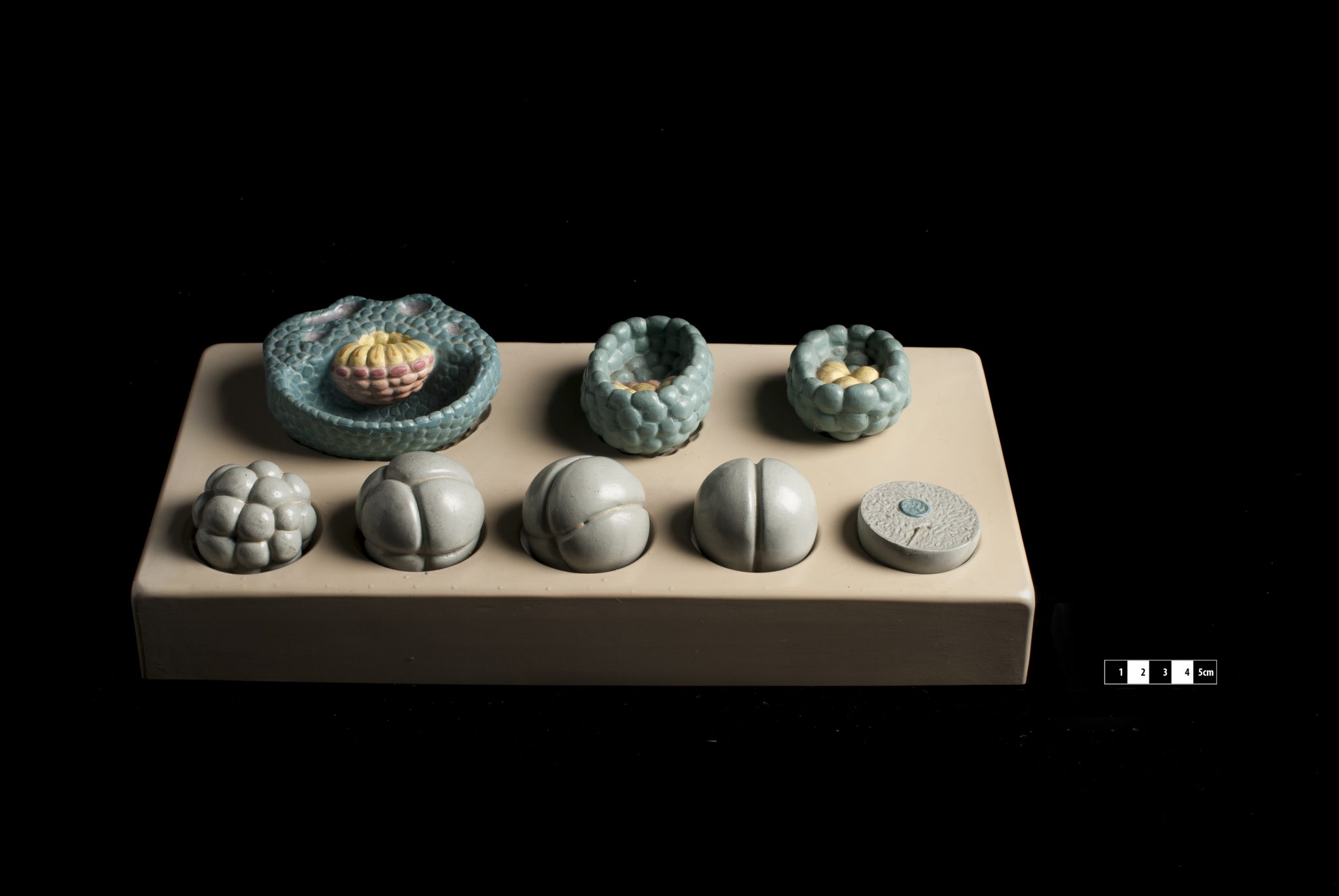 Synthetic embryos Science, communication, clarification Making