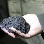 biochar (pile of black coal-like stuff) in hnd