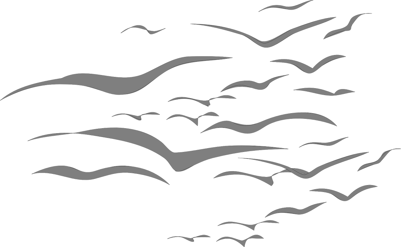 abstract black and white flock of birds - outlines of birds