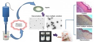 Scheme of Nanoemulsion of Aspirin generation and anti-inflammatory testing