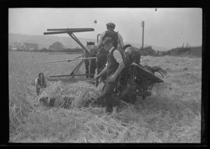 Two men operating a horse-drawn thresher in a field of wheat