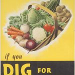 Dig for victory poster of a basket of vegetables that grow well in the UK (carrot, cabbage, potatoes etc) on a yellow background