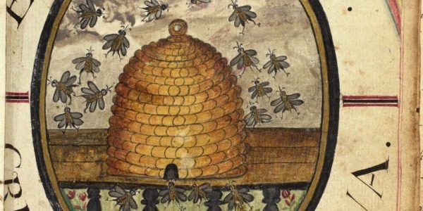 Front of the book showing a hand coloured hive surrounded by honey bees in the centre, with the title, date and Latin motto written in an oval around it