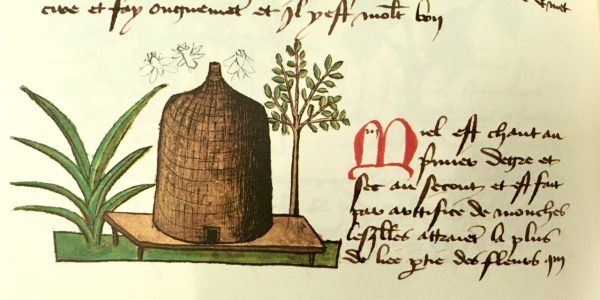 Extract from a page showing a bee hive with a couple of bees flying around it, next to a paragraph of text in French describing the medicinal properties of honey.