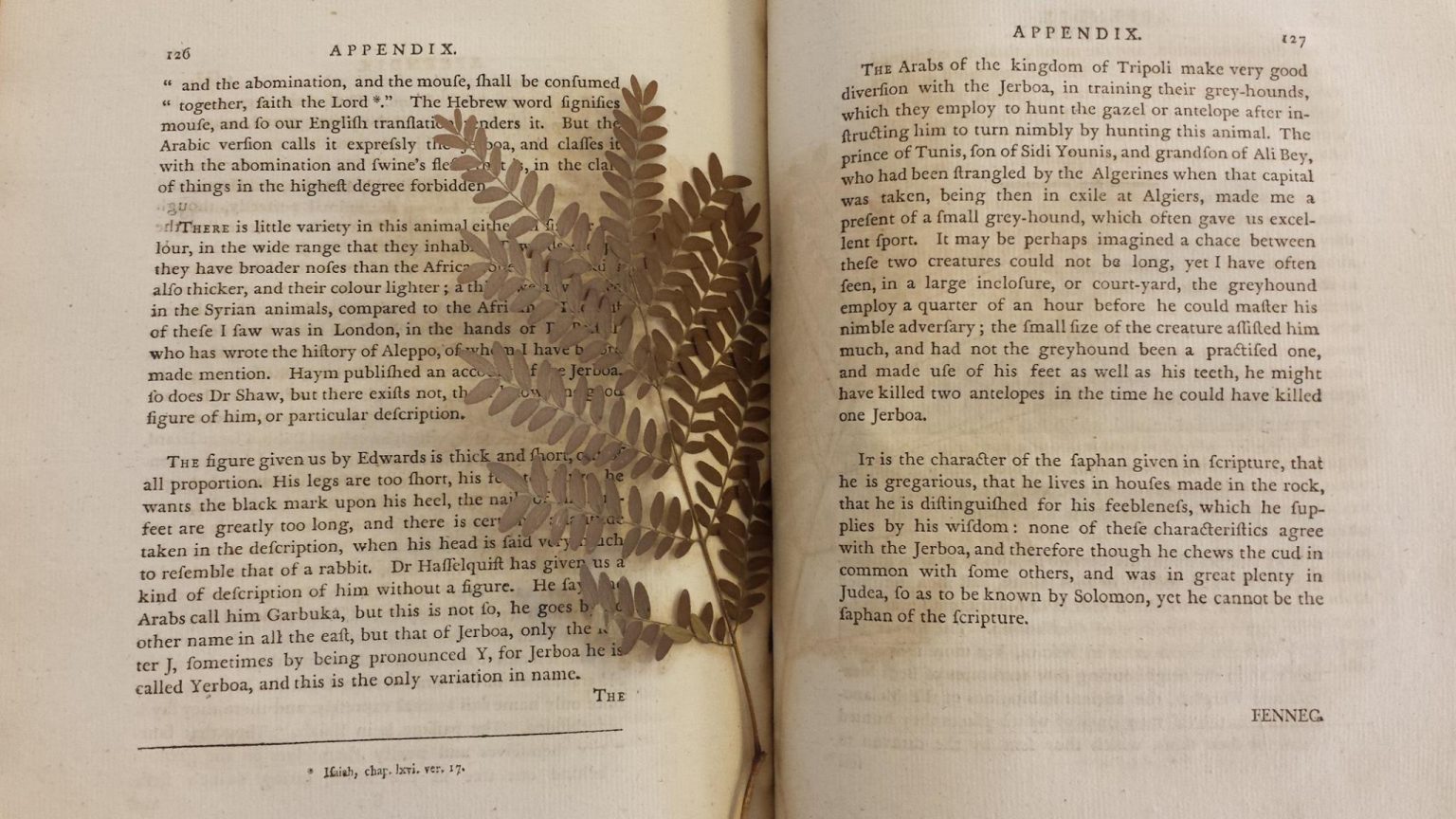 Finding leaves in books Manuscripts and Special Collections