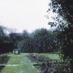Colour photograph of a garden