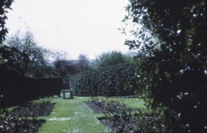 Colour photograph of a garden