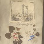 A page from a scrapbook featuring dried leaves and a black and white sketch of archaeological remains at Sardis.