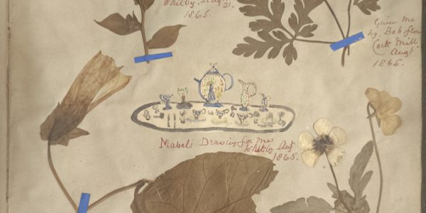 A page from a scrapbook, featuring various dried flowers and leaves, as well as a drawing of a tea set.