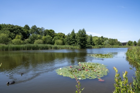 a photo of the lake on Jubilee Campus