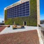 Living green wall and rooftop terrace of Lincoln Medical School