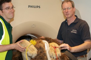 Dr Mike Target (picture right) with Danni the lion 