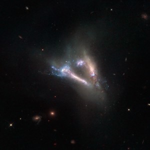 This large “flying V” is actually two distinct objects — a pair of interacting galaxies known as IC 2184. Both the galaxies are seen almost edge-on in the large, faint northern constellation of Camelopardalis (The Giraffe), and can be seen as bright streaks of light surrounded by the ghostly shapes of their tidal tails. These tidal tails are thin, elongated streams of gas, dust and stars that extend away from a galaxy into space. They occur when galaxies gravitationally interact with one another, and material is sheared from the outer edges of each body and flung out into space in opposite directions, forming two tails. They almost always appear curved, so when they are seen to be relatively straight, as in this image, it is clear that we are viewing the galaxies side-on. Also visible in this image are bursts of bright blue, pinpointing hot regions where the stars from both galaxies have begun to crash together during the merger. The image consists of visible and infrared observations from Hubble’s Wide Field and Planetary Camera 2. A version of this picture was entered into the Hubble’s Hidden Treasures image-processing competition by contestant Serge Meunier.