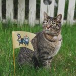 Tabby cat with flag showing a cat in a spacesuit