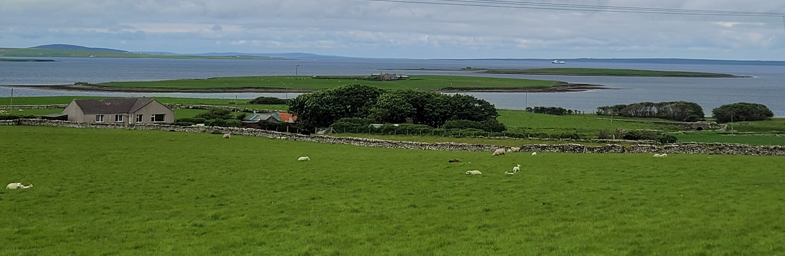 Colour photograph taken across a low decline over green fields into a sea bay with two islands in Orkney.