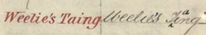 Manuscript extract from the Ordnance Survey name book showing the entry for Weelie's Taing. The corrected name has the apostrophe in Weelie's inserted, and the word originally spelled 'Ting' is corrected to 'Taing'.