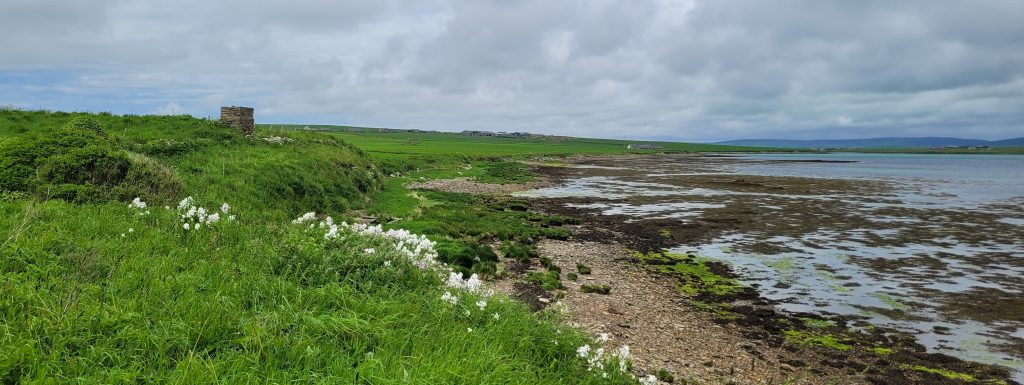 Colour photo of the shore edge showing green fields on the left with small stone structure, a pebbly beach and the sea stretching into the distance to low hills on a cloudy day.