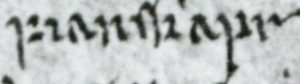 Detail from the manuscript showing 'fiandskaprs'.