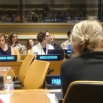 Dr Andrea Nicholson at the United Nations
