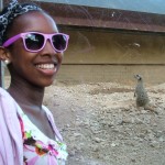 Meerkat and me