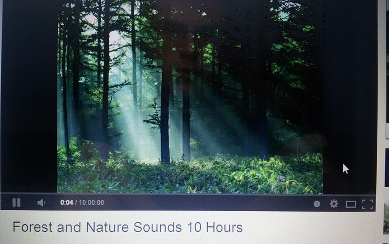 Forest sounds, rain water. Anything natural with no rhythm really helps me focus!