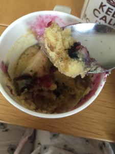 Blueberry muffin in a mug made in a microwave! (It was edible!)