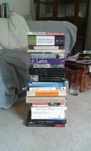 This is one of my stacks of reading for the summer. I have read two.