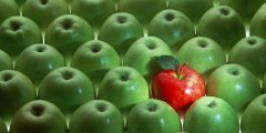 Spruce up your CV - A lone red apple in a crowd of green apples