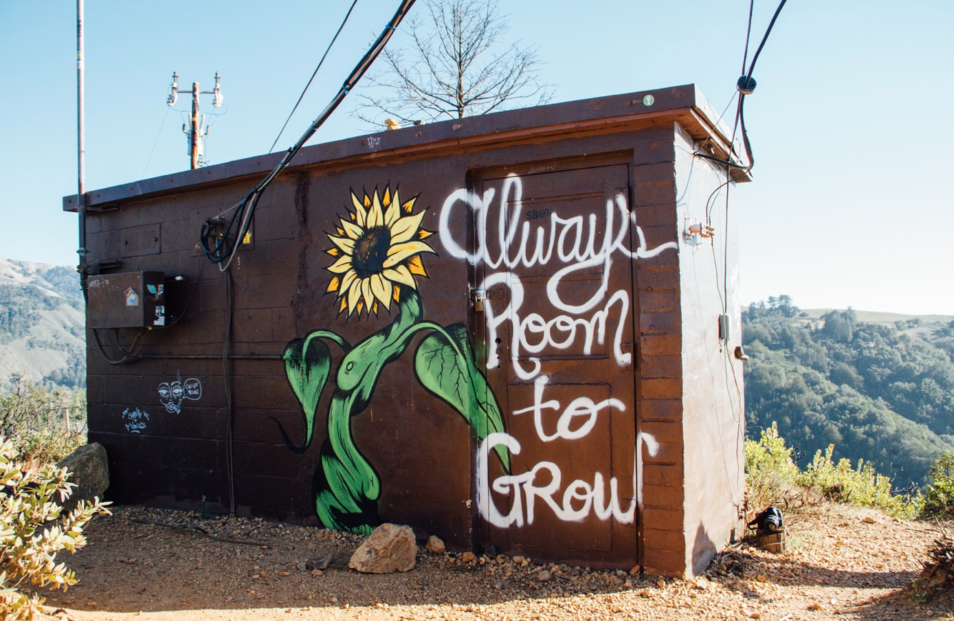 21 lessons - a motivational image of a sunflower with the phrase "Always room to grow"