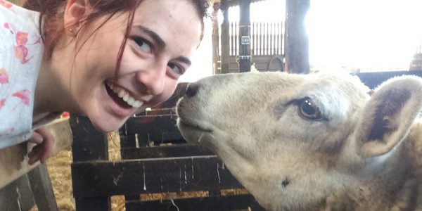 A Day in the life - a vet student grins at the camera as a sheep sniffs her face