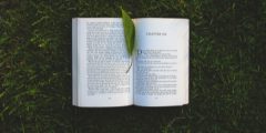 Open book on grass with a leaf on top of it