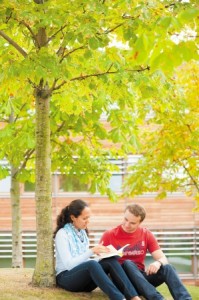 Two postgraduate students sitting under tree on Jubilee Campus