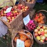 Apples for sale at the farmers' market