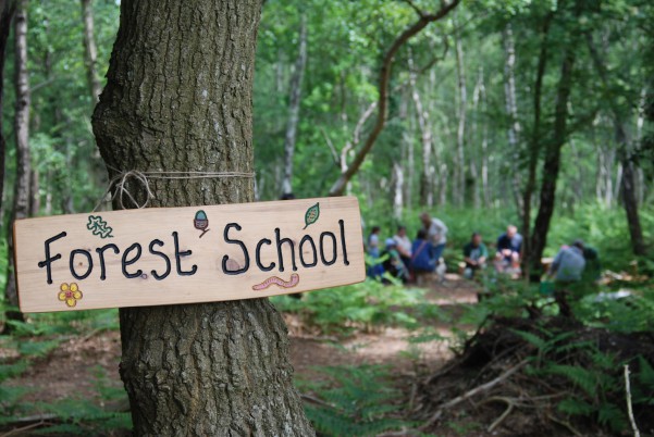 Forest School at the University of Nottingham - Sustainable Nottingham