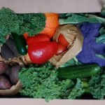 SCoop veg box