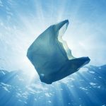 Plastic bag in ocean water