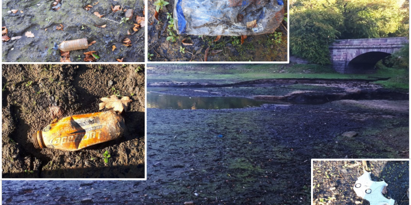 Plastic pollution at the source of the River Trent
