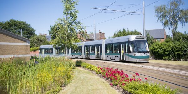 Tram next to Djanogly pond