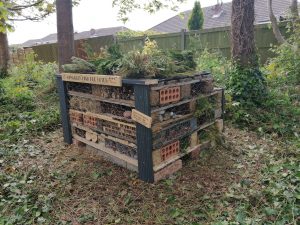 A second photo of Nadia's bug hotel she built in her local park