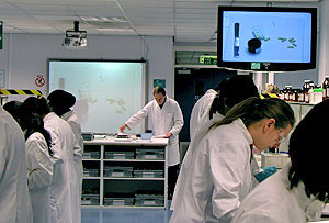 Photo of screens and whiteboard in the lab