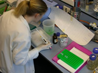 Setting up complex PCR reactions using a large protocol list